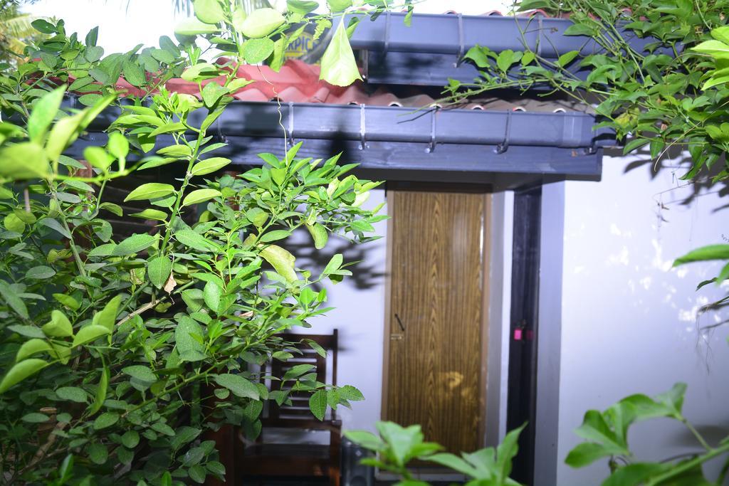 リビング イン ポロンナールワ ポロンナルワ エクステリア 写真